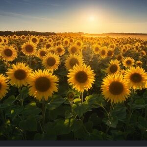 Meet your Posher, Britmarie.